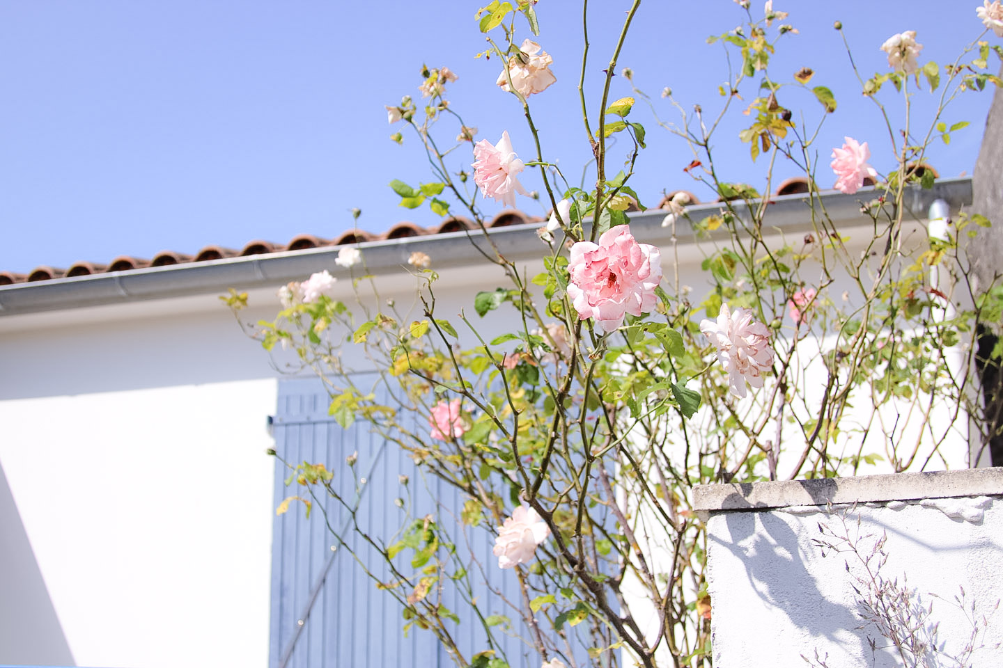 Elodie-Blog-village-arceau-facade-roses