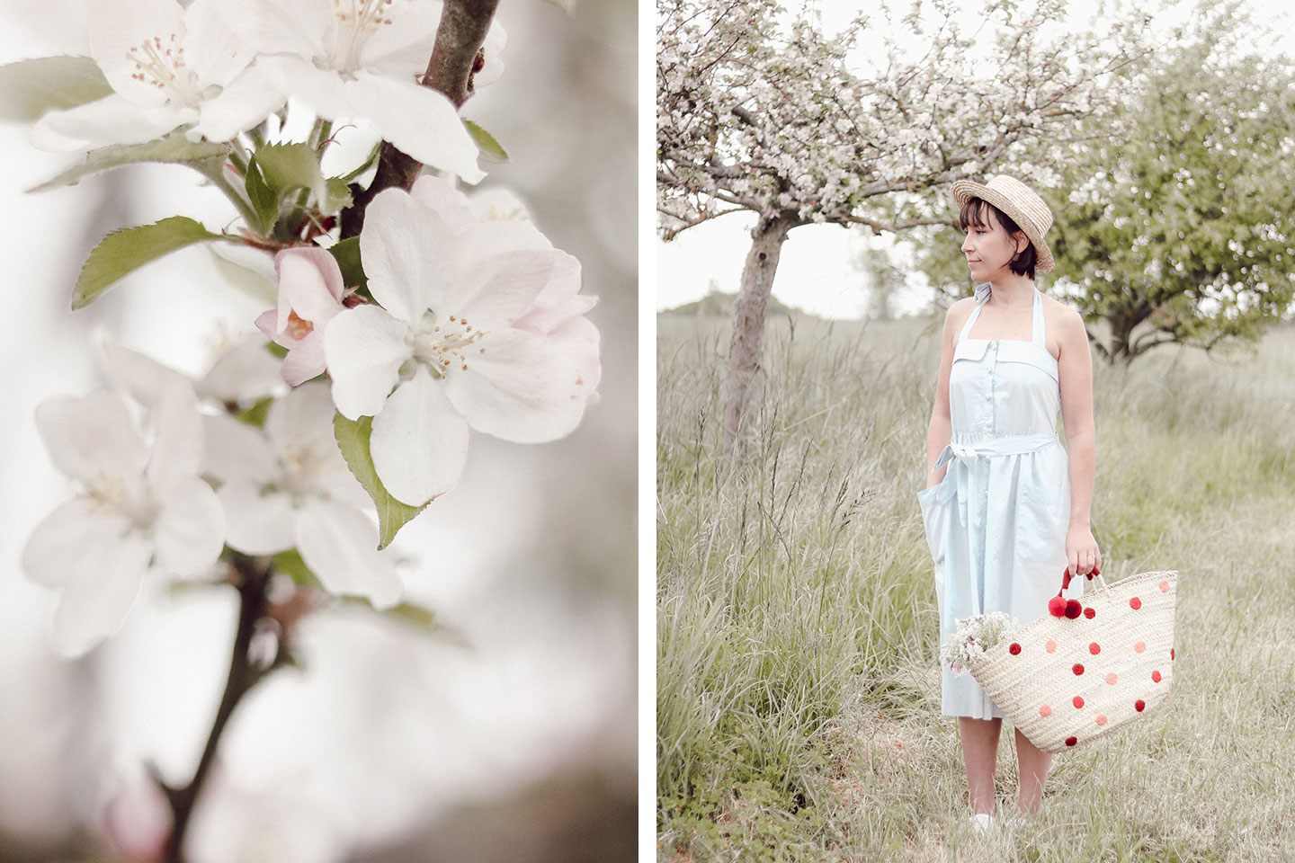 Aujourd'hui je vous retrouve avec un petit look estival et confortable avec cette petite robe rétro aux milieu des pommiers en fleurs d'Oléron. - Cliquez pour découvrir l'article